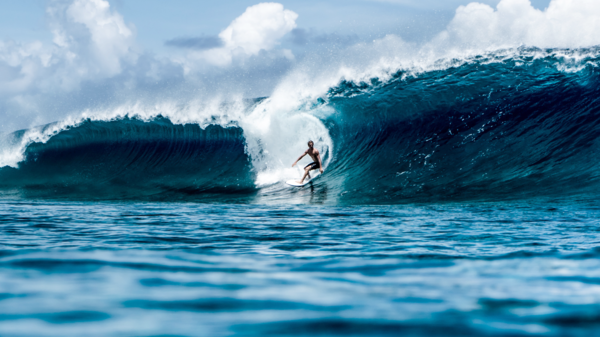 Surfer